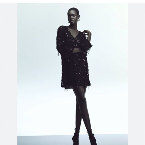 NWT Zara Sequins Fringe Mini Dress Sz XS - Picture 1 of 14
